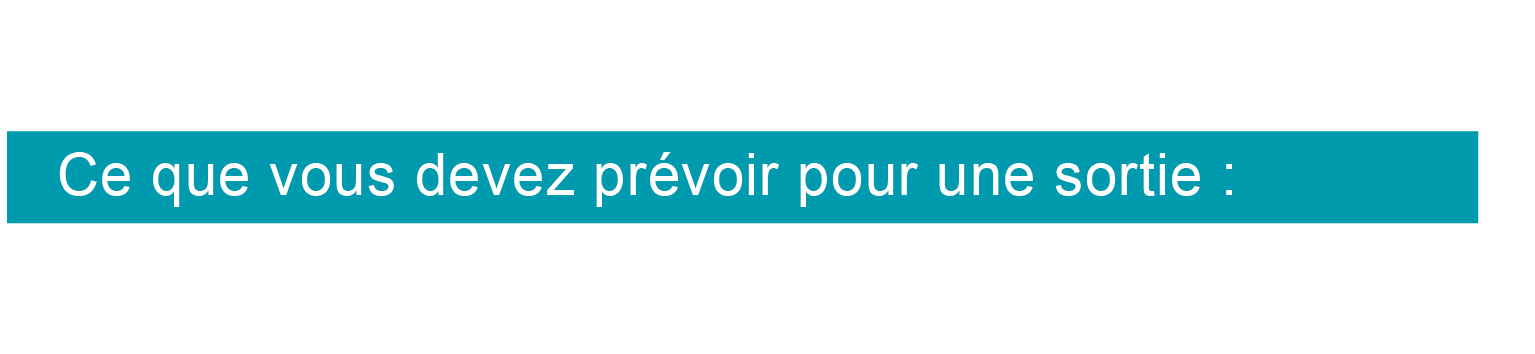 sorties journees prévoir sorties