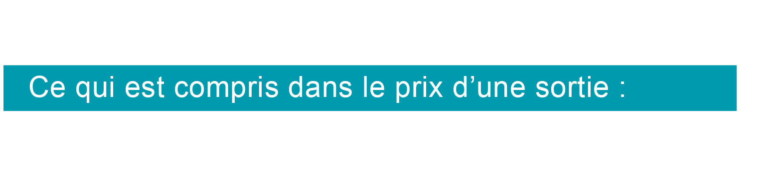 prix sorties oiseaux prix sorties