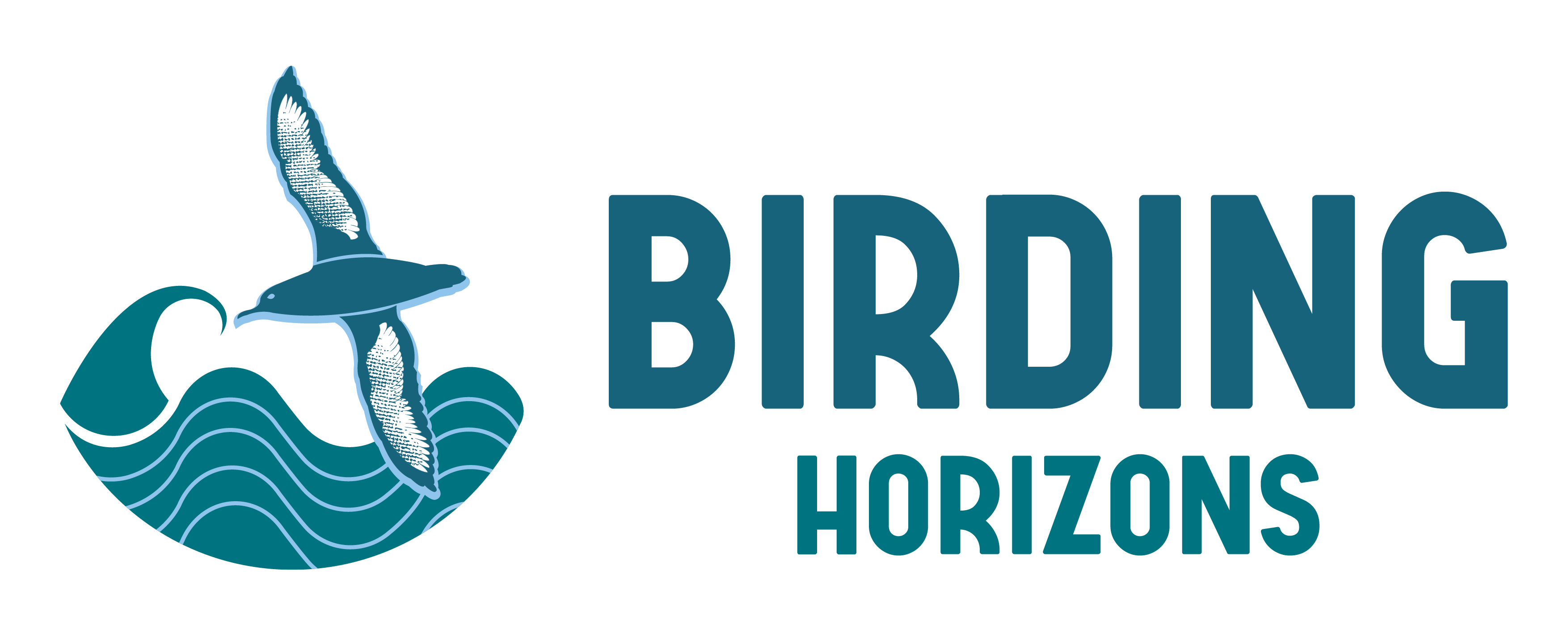 BIRDING ROSCOFF NATURE